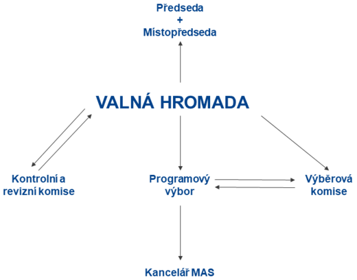 Organizační struktura MAS